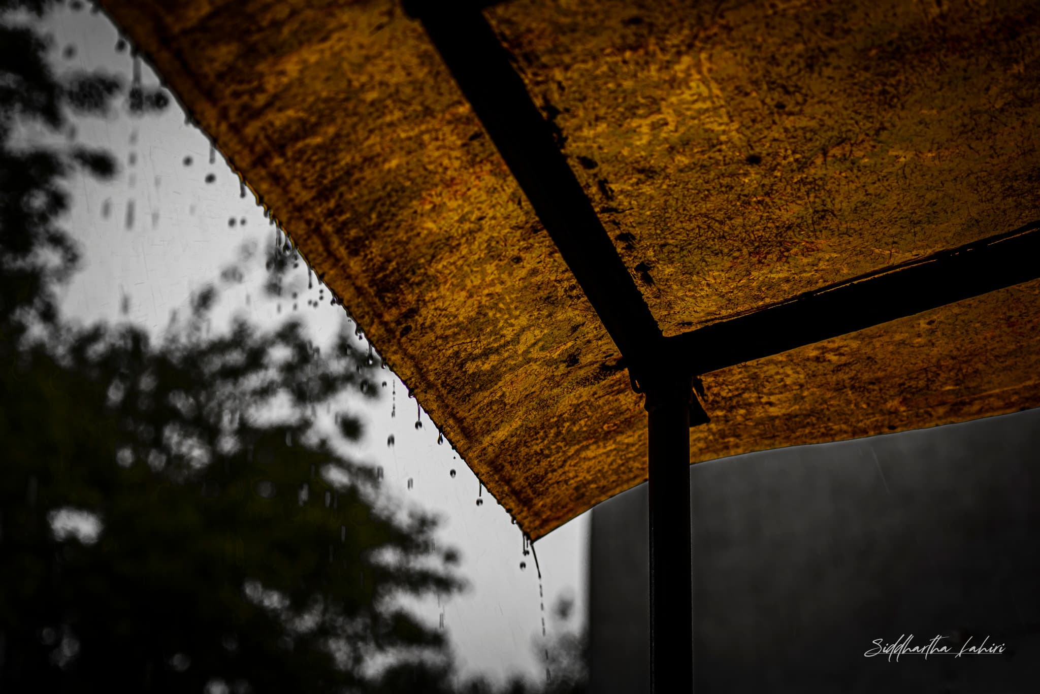 Rainy Day Perspective